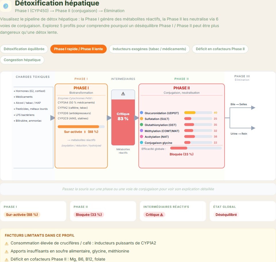 Détox hépatique