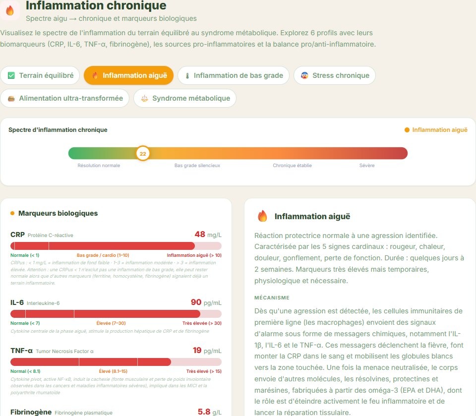 Inflammation chronique