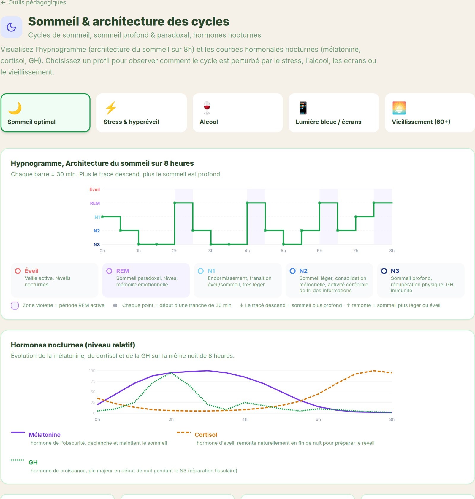 Sommeil & architecture des cycles