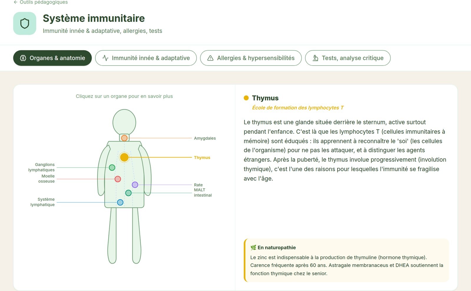 Système immunitaire